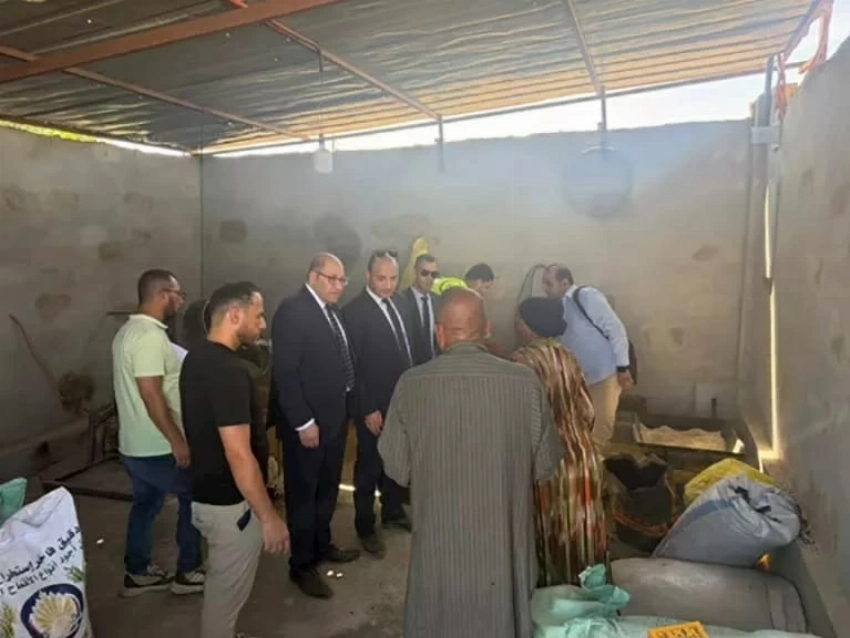 خدعة داخل منشأة غذائية بمصر.. كيف جرى تقليد الفلفل الأسود؟