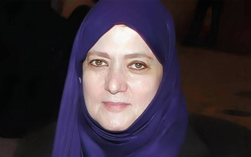 شمس البارودي .