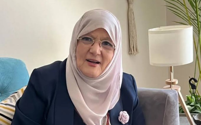 شمس البارودي 1