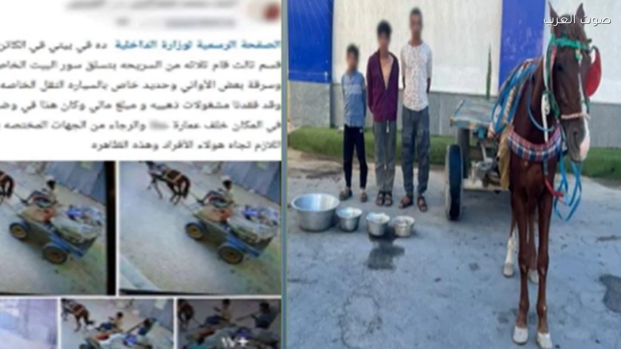 ضبط 3 أشخاص بتهمة سرقة منزل بالعريش وإعادة المسروقات