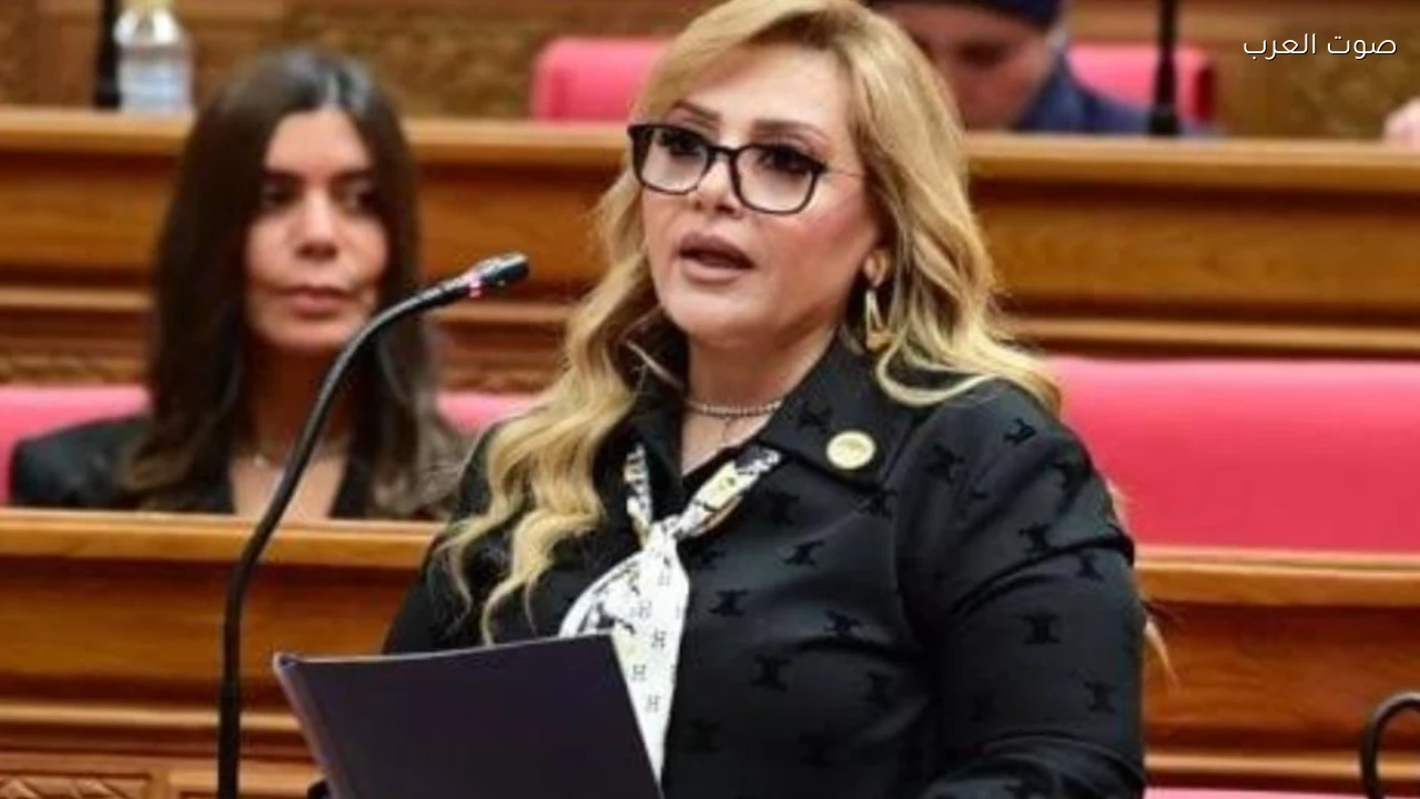 عضو لجنة العلاقات الخارجية بالنواب تقول إن الانفتاح على آسيا يساهم في توطين التكنولوجيا