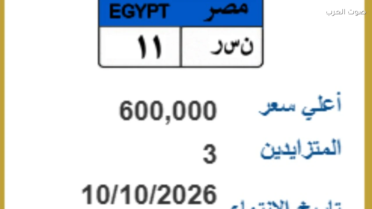 لوحة ن س ر 11 تطرح في مزاد إلكتروني والسعر يصل إلى 600 ألف جنيه